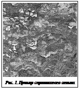 Подпись:  Рис. 1. Пример спутникового снимка